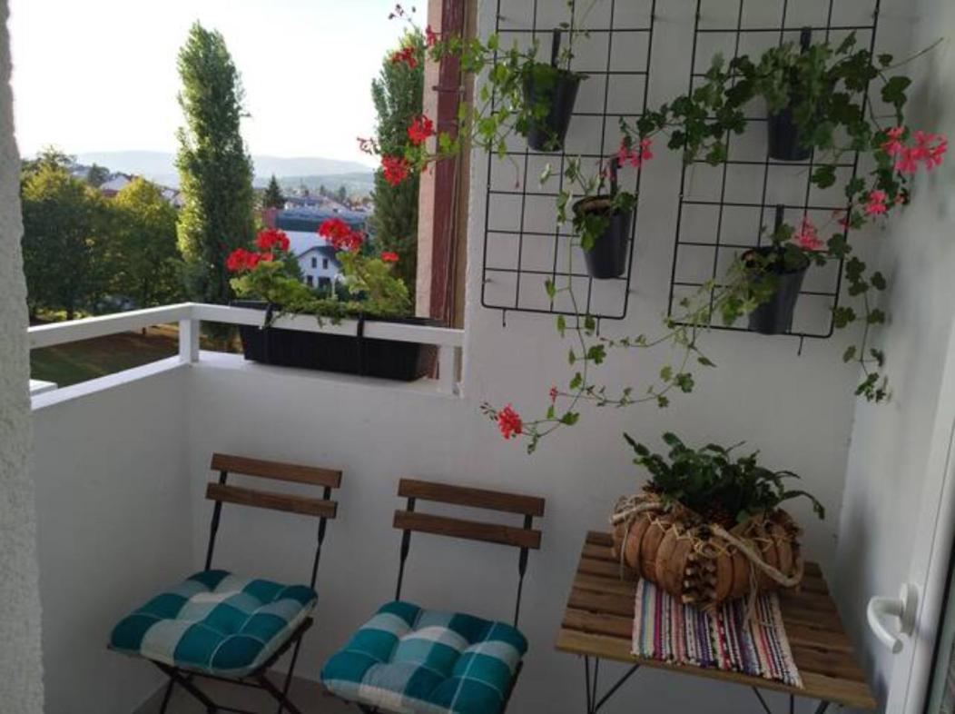 New Studio Apartment Sun With Free Parking Загреб Екстериор снимка