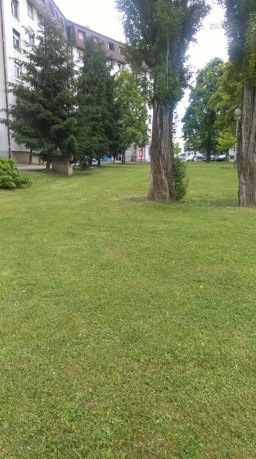 New Studio Apartment Sun With Free Parking Загреб Екстериор снимка