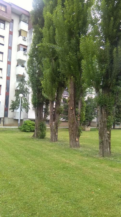 New Studio Apartment Sun With Free Parking Загреб Екстериор снимка